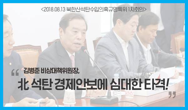 김병준 비상대책위원장, 