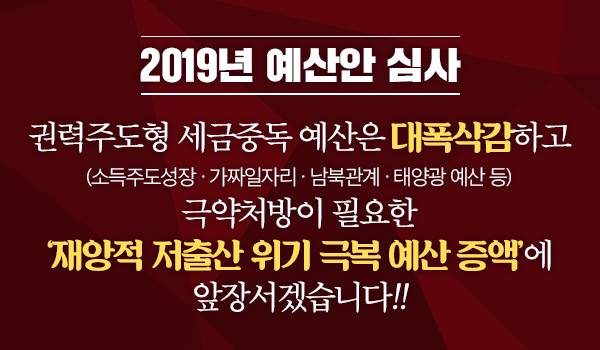 2019년 예산안 심사