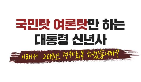 국민탓 언론탓만 하는 대통령 신년사, 이래서  2019년 경제회복 하겠습니까?