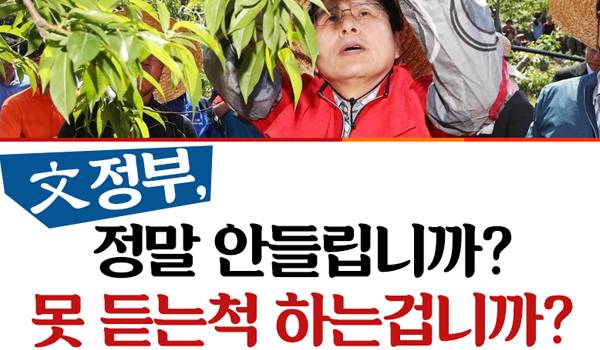 문정부, 정말 안들립니까? 못듣는척 하는겁니까?