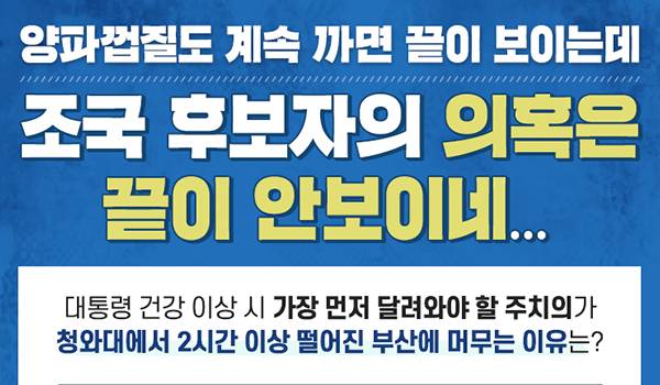 양파껍질도 계속 까면 끝이 보이는데  조국 후보자의 의혹은 끝이 안보이네...