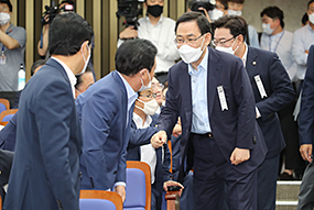 의원총회