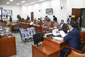 화상 의원총회