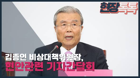 6월 4일 김종인 비대위원장, 현안관련 기자간담회