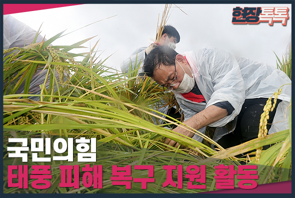 9월 12일 태풍 피해 복구 지원 활동