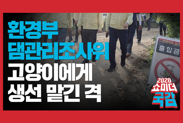 [쇼미더국감 2020 임이자 의원] 환경부 댐관리조사위, 고양이에게 생선 맡긴 격