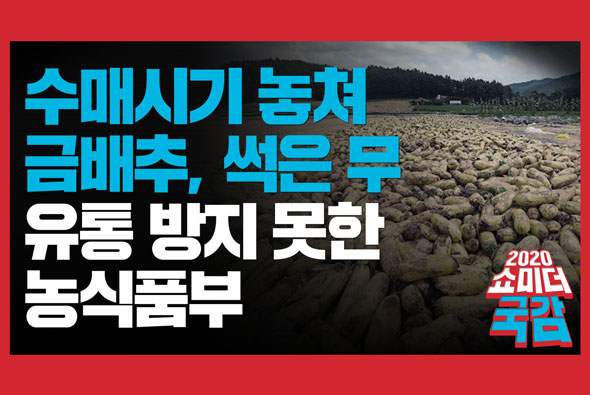 [쇼미더국감 2020 이양수 의원] 적정 수매시기 놓쳐 금배추, 썩은 무 유통 방지 못한 농식품부